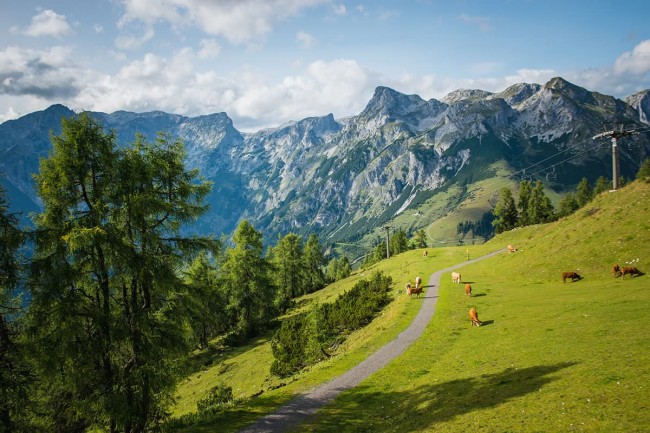 Traumhafte Wanderungen rund um Pfarrwerfen © Bergbahnen Werfenweng / C. Schartner