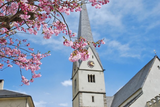 Pfarrkirche Pfarrwerfen im Frühling
