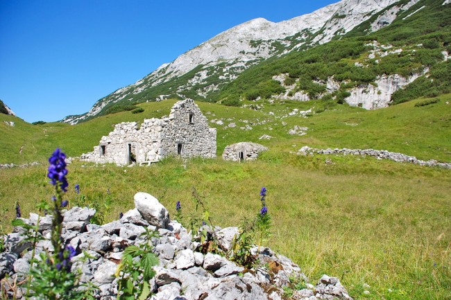 Wandern am Salzburger Almweg