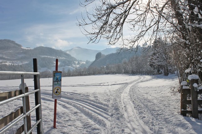 Langlaufloipe in Pfarrwerfen